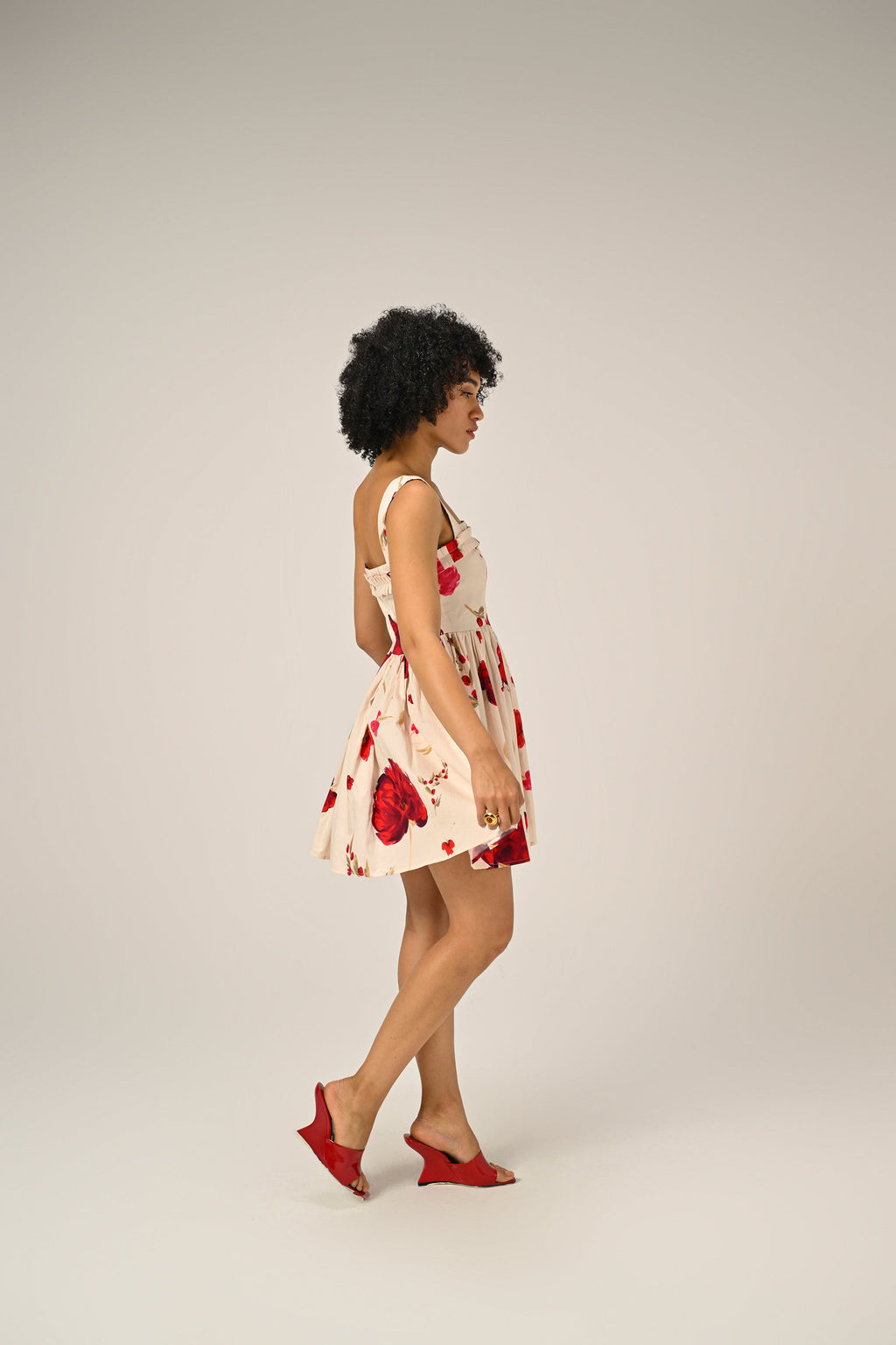 Scarlet Meadow Mini Dress
