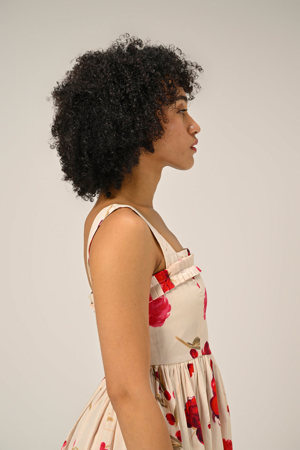 Scarlet Meadow Mini Dress